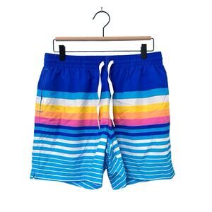 Chubbies Blue Multicolor Stripe Swim Trunks